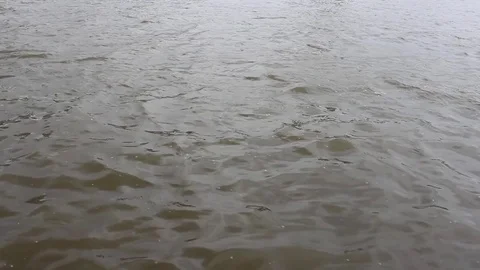 Brown Thames water Stock Footage 75410557