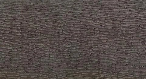 Brown tree bark texture forming natural background pattern Foto stock