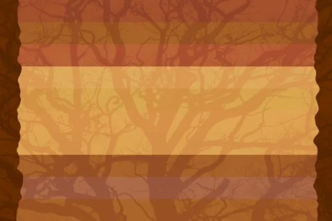 Brown tree with frame - digital animation Stock Footage 101696