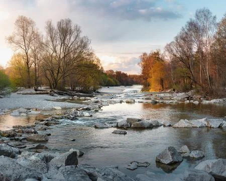 Brown trees next to the river under cloudy sky Stock Photos
