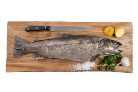 Brown trout Stock Photos