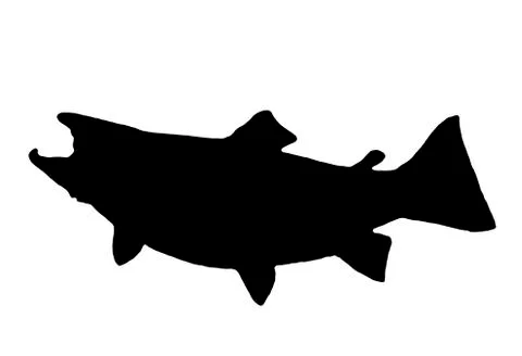 Brown trout silhouette Stock Illustration