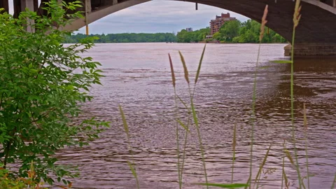 Brown Turbid River Flow Beneath Concrete Bridge With Visible Current Stock Footage 333544655