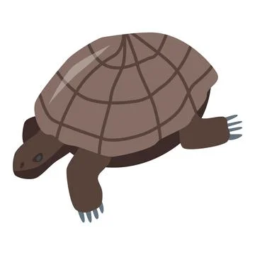Brown turtle icon, isometric style Illustrazione stock