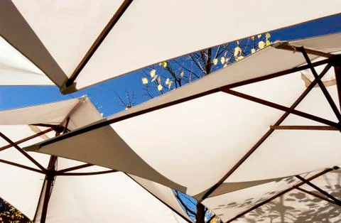 Brown umbrellas Foto stock