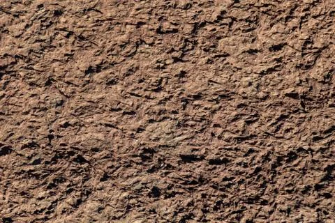 Brown uniform surface stone texture. Solid concept. Stock Photos