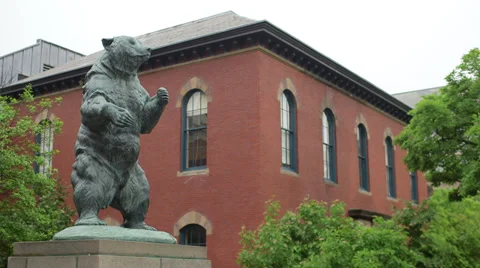 Brown University Bear Statue Stock Footage 39755481