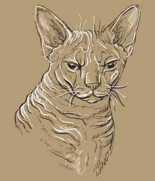 Brown vector cat portrait,part 3 Stock Illustration