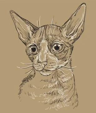 Brown vector cat portrait,part 6 Illustrazione stock