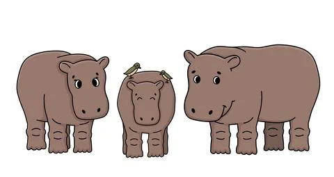 Brown vector outline cartoon set of three hippos stand on the ground. Two Oxp Stock Illustration