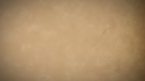 Brown vintage paper moving seamless loop animation stop motion. Stock Footage 345323129