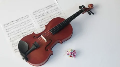Brown violin with musical notes on a white background (spinning and panning Stock Footage 73892810