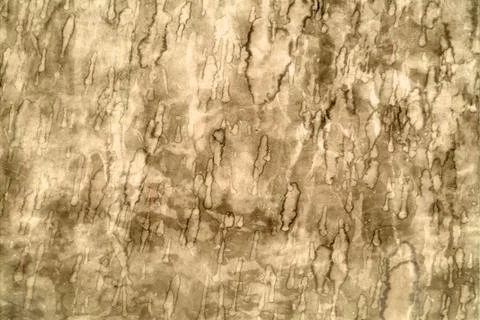 Brown wall texture 写真素材