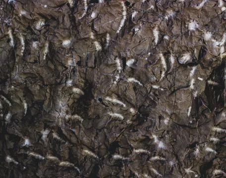 Brown wall texture. Stone background. Rock texture. Grunge Rough structure. A Stock Photos