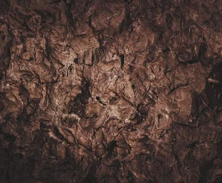 Brown wall texture. Stone background. Rock texture. Grunge Rough structure. A Stock Photos