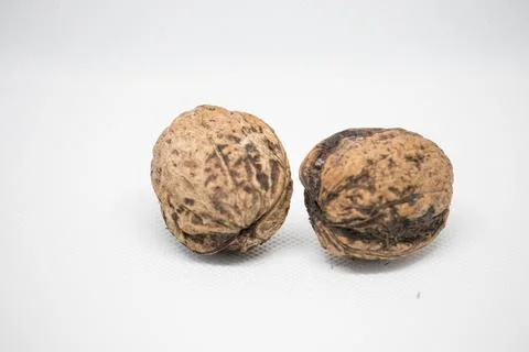 Brown walnuts on a white background ready for culinary use or decorative pu.. Stock Photos