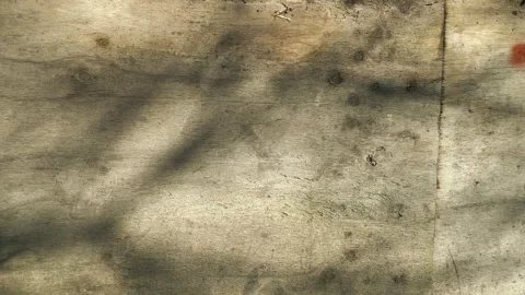 Brown warm wooden background Stock Footage 294829794