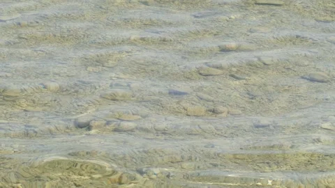 Brown wavy water surface, background image, Germany Stock Footage 314039911