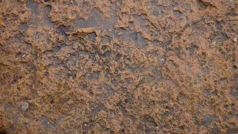 Brown Weathered Stone Surface Texture for Architectural Background Stock Photos