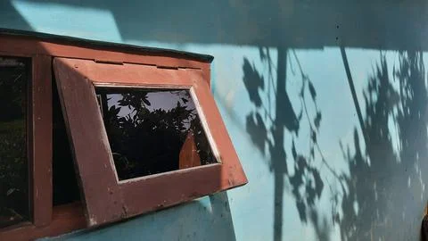Brown window on blue wall with shadow of leaves 2 Foto stock