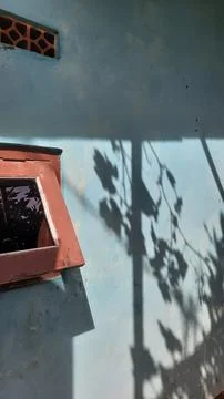 Brown window on blue wall with shadow of leaves 01 Stock Photos