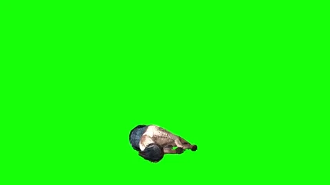 Brown Wolf down loop green screen  animation  3D rendering Stock Footage 297006135