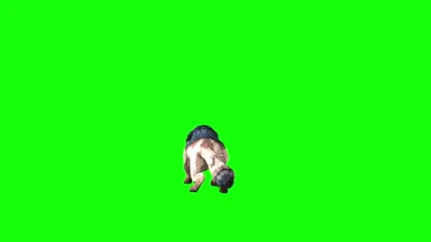 Brown Wolf jump attack  green screen animation  3D rendering Stock Footage 297006452