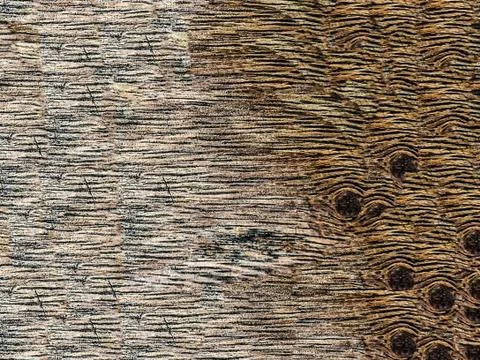 Brown wood pattern texture Stock Photos
