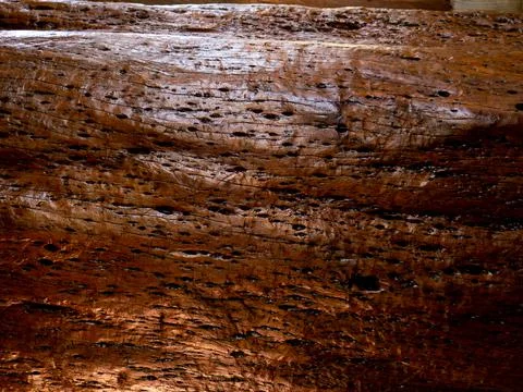 Brown wood texture. Abstract background, empty template Foto stock