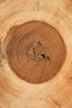 Brown wood texture background Stock Photos