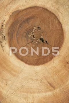 Brown wood texture background Stock Photos