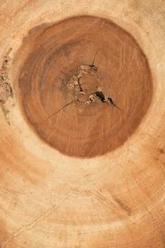 Brown wood texture background Stock Photos