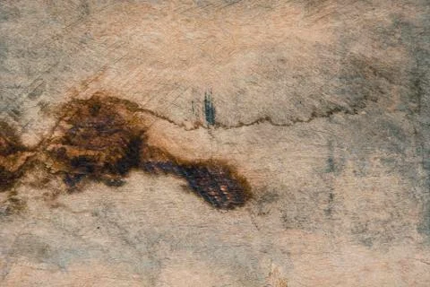 Brown wood texture background Foto stock