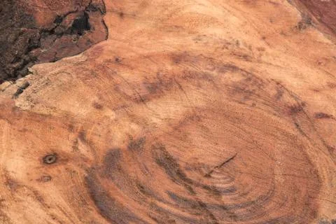 Brown wood texture background Stock Photos