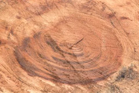 Brown wood texture background Stock Photos