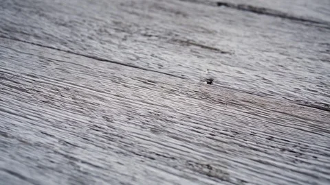 Brown wood texture background surface with old natural pattern. Close up. Stock Footage 126638610