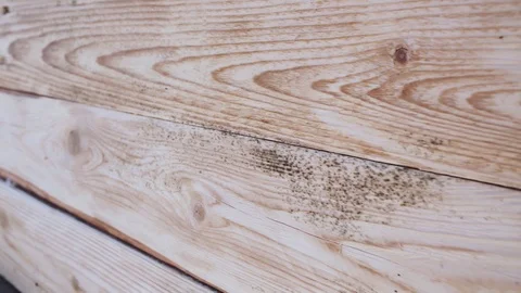 Brown wood texture background surface with old natural pattern. Close up. Stock Footage 127021648