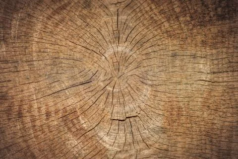 Brown wood texture. empty template Stock Photos