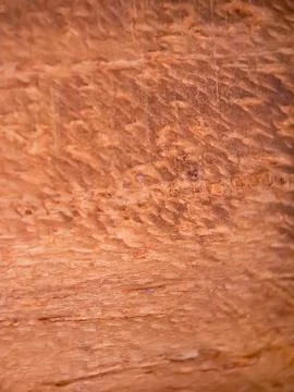 Brown wood texture macro, suitable for wallpaper background. Stock Photos