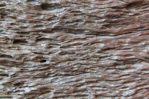 Brown wood texture Stock Photos