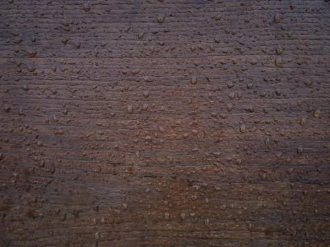 Brown wood texture. Stock Photos