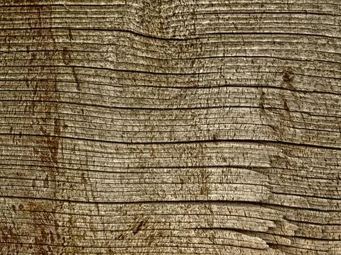 Brown Wood Texture 스톡 사진