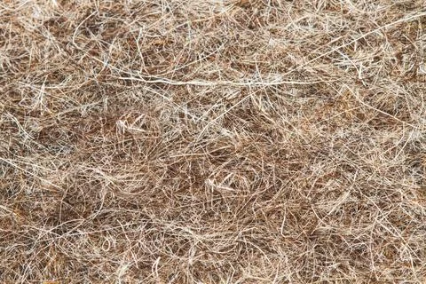 A brown wool cloth texture in a close up view Foto stock