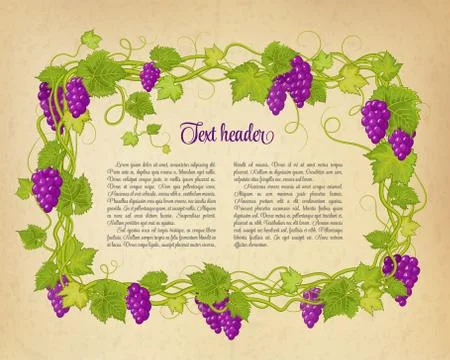 Brown wrinkled paper with grapes. Vector illustration Stock Illustration