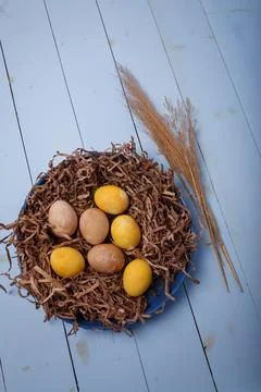 Brown yellow painted Easter eggs in decorative nest on blue wooden background Stock Photos