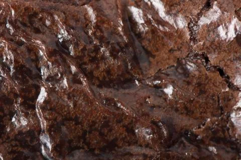 Brownies - Macro Stock Photos