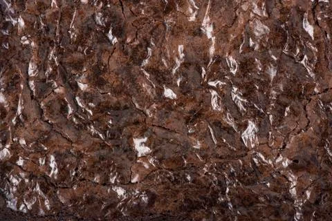 Brownies - Overhead Stock-Fotos