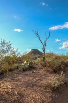 Brown's Ranch Trail Stock-Fotos