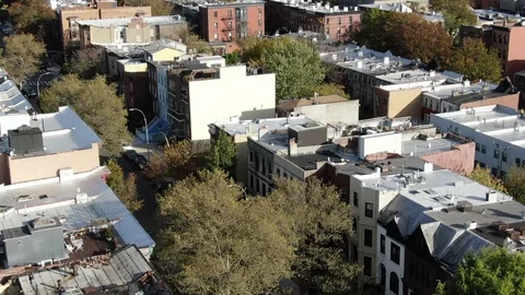 Brownstone roofs and back gardens in Bedford-Stuyvesant, Brooklyn Vídeo Stock 119243928