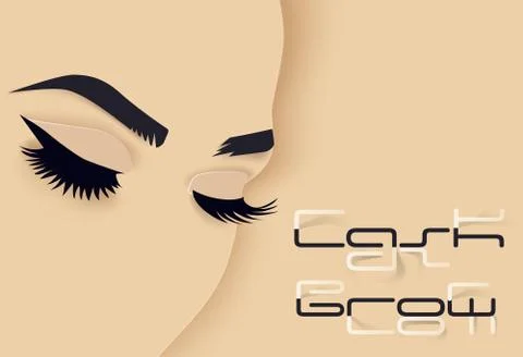 Brows and lashes lettering. Vector illustration of lashes and brows. For beauty Stock Illustration